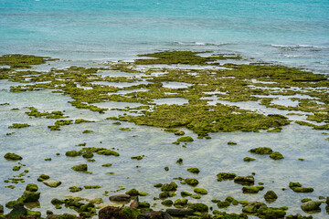 沖縄の青い海の浅瀬