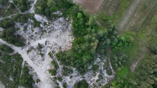 Widok lasu z lotu ptaka, lot tronem nad drzewami w lesie. Niebo i las z lotu ptaka. 