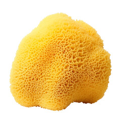 yellow sea sponge isolated on transparent background cutout , generative ai