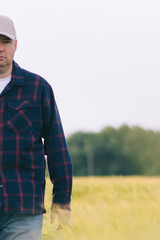 Checking the yield of grain crops at sunset. Man conducts experiments in field conditions.