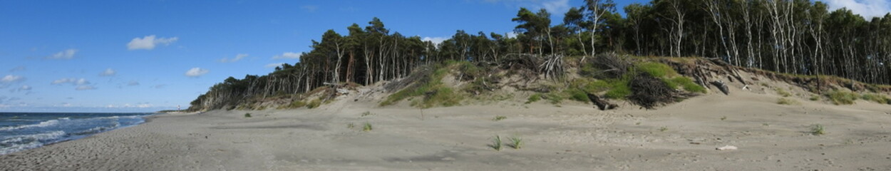 panorama view of the coast on the curonian spit