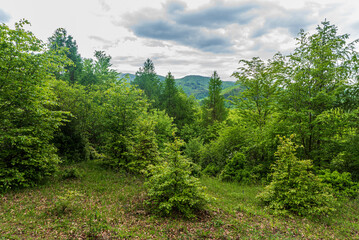 Fototapeta na wymiar Fresh green springtime mountains covered by deep forest - Strazovske vrchy mountains in Slovakia