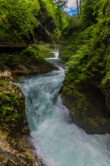 A view up the turbulent Radovna River as it surges over falls in the Vintgar Gorge in Slovenia in summertime
