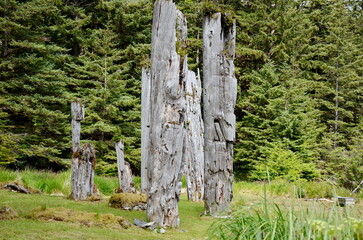 Historic Totem Poles, Sgang Gwaay, Ninstints, Haida Gwaii, BC, Canada
