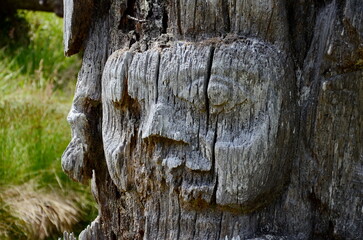 Historic Totem Poles, Sgang Gwaay, Ninstints, Haida Gwaii, BC, Canada
