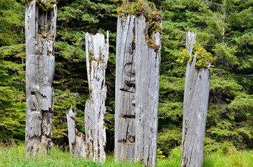 Historic Totem Poles, Sgang Gwaay, Ninstints, Haida Gwaii, BC, Canada