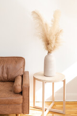 Pampas Grass in a White Room