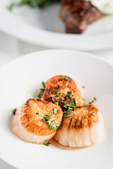 Scallops on a white plate