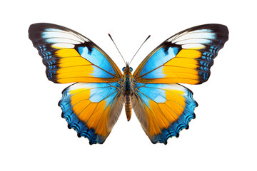 Obraz na płótnie Canvas Very beautiful colorful butterfly in flight isolated on white background PNG