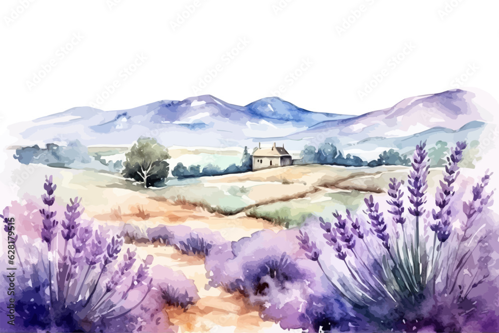 Wall mural summer landscape of blooming lavender flowers fields. vector illustration design.