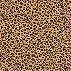 Leopard abstract texture vector background