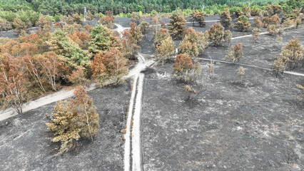 Aerial view of the aftermath of a forest fire in the countryside