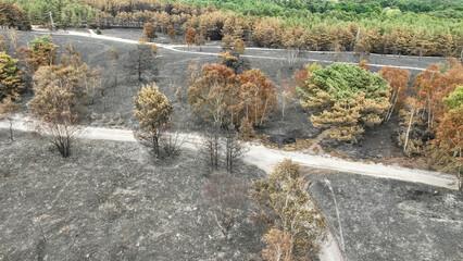 Aerial view of the aftermath of a forest fire in the countryside