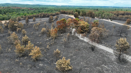 Aerial view of the aftermath of a forest fire in the countryside