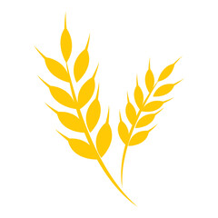 Set of golden wheat ears, agriculture wheat vector icon, wheat vector logo template isolated on white background. - obrazy, fototapety, plakaty