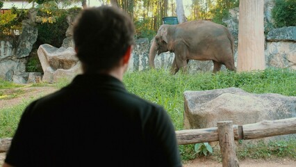 Back view of man admiring large elephant at a national park. Safari experience amidst lush green...