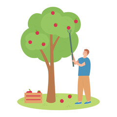 Obraz na płótnie Canvas Man harvesting apple tree