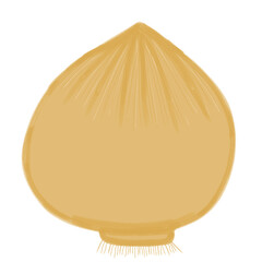 Onion