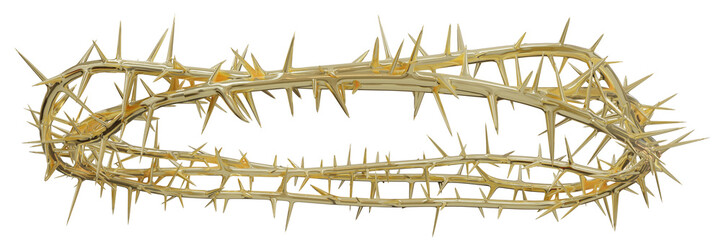 a 3D artwork of the Crown of Thorns worn by Jesus. This piece will be used for designing modern visual art publications related to Christianity, the suffering of Christ, and religious theme