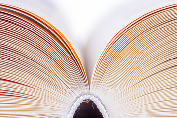Close up opened book page