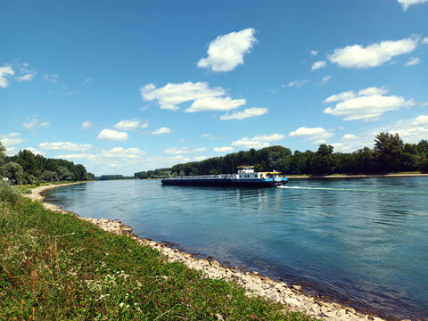 Schiff auf dem Rhein bei Niedrigwasser bei H&ouml;rdt in Rheinland-Pfalz in der H&ouml;rdter Rheinaue im Landkreis Germersheim. Der Fluss bildet hier die Grenze zwischen Rheinland-Pfalz und Baden-W&uuml;rttemberg.