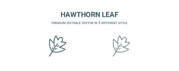Fototapeta premium hawthorn leaf icon. Filled and line hawthorn leaf icon from nature collection. Outline vector isolated on white background. Editable hawthorn leaf symbol