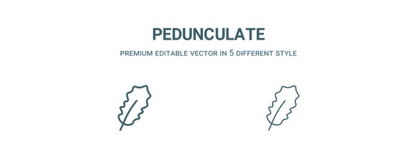 pedunculate icon. Filled and line pedunculate icon from nature collection. Outline vector isolated on white background. Editable pedunculate symbol
