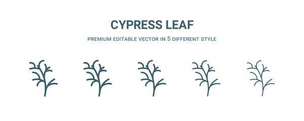 cypress leaf icon in 5 different style. Thin, light, regular, bold, black cypress leaf icon isolated on white background.
