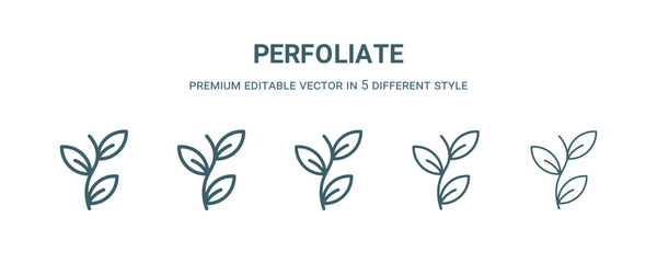 perfoliate icon in 5 different style. Thin, light, regular, bold, black perfoliate icon isolated on white background.