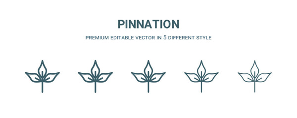 pinnation icon in 5 different style. Thin, light, regular, bold, black pinnation icon isolated on white background.