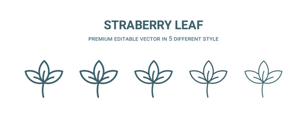 straberry leaf icon in 5 different style. Thin, light, regular, bold, black straberry leaf icon isolated on white background.