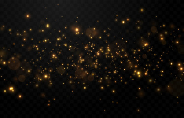 Fototapeta Vector gold sparkles on an isolated transparent background. Atomization of golden dust particles png. Glowing particles png. Gold dust. Light effect. obraz