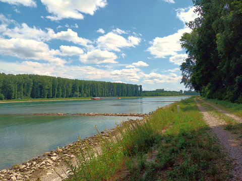 Der Rhein bei Niedrigwasser im Sommer bei H&ouml;rdt in Rheinland-Pfalz in der H&ouml;rdter Rheinaue im Landkreis Germersheim. Der Fluss bildet hier die Grenze zwischen Rheinland-Pfalz und Baden-W&uuml;rttemberg.