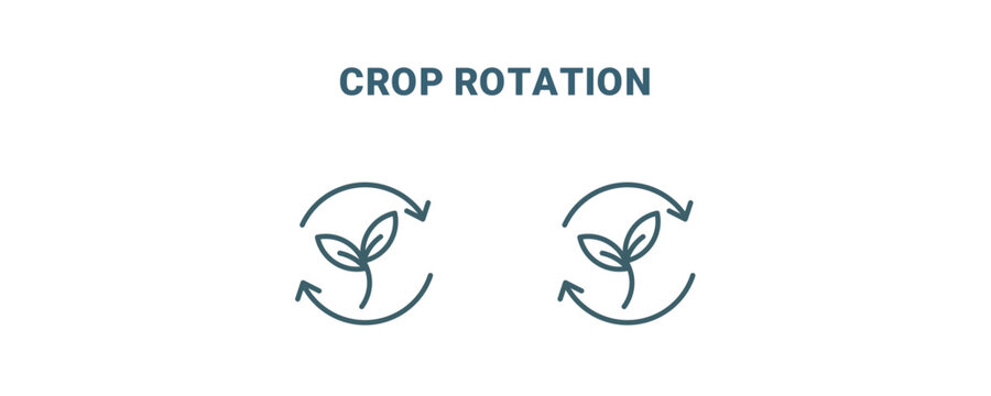 crop rotation icon. Line and filled crop rotation icon from agriculture and farm collection. Outline vector isolated on white background. Editable crop rotation symbol