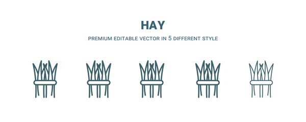 hay icon in 5 different style. Outline, filled, two color, thin hay icon isolated on white background. Editable vector can be used web and mobile