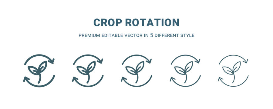 crop rotation icon in 5 different style. Thin, light, regular, bold, black crop rotation icon isolated on white background.