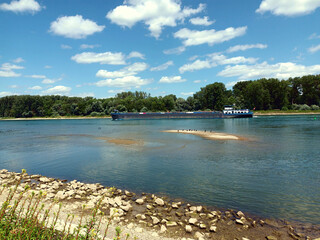 Schiff auf dem Rhein bei Niedrigwasser bei Hördt in Rheinland-Pfalz in der Hördter Rheinaue im Landkreis Germersheim. Der Fluss bildet hier die Grenze zwischen Rheinland-Pfalz und Baden-Württemberg.