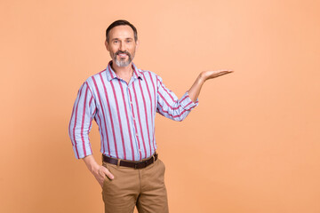 Photo of pleasant good mood nice man gray beard wear striped shirt palm demonstrate empty space promo isolated on beige color background