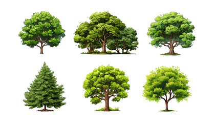 Collection cartoon Trees Isolated on White Background. Vector flat set illustration agricultural garden and nature park plant. Flat forest flora