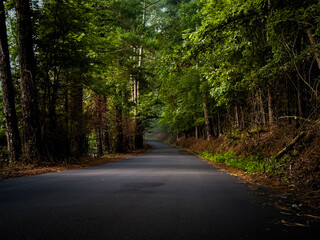 Peaceful stretch of road in the forest through rural Jefferson County Alabama at sunrise