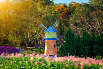 Windmill scenery, big tree in the background and blur flower in front