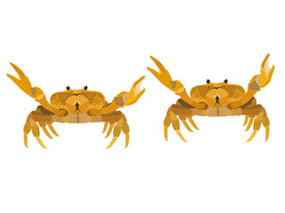 Colorful crabs on a white background.