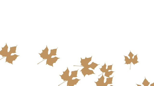 autumn leaves isolated on white