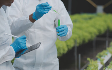 Asian woman farmer using digital tablet in vegetable garden at greenhouse, Business agriculture technology concept, quality smart farmer.