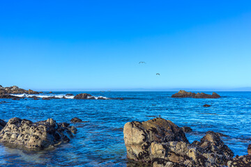 Monterey Bay ocean view with boulders and birds flying away