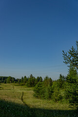 landscape with trees