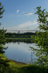 lake in the forest