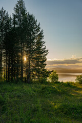 sunset in the forest
