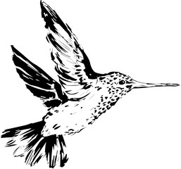 silhouette of a bird