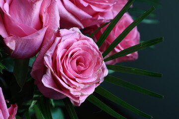 Close-up of blooming pink roses in bouquet